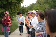 20160909_pilgrimage_17