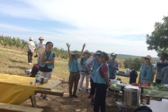 20170921_seniorpicnic-12