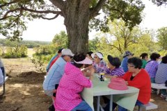 20170921_seniorpicnic-16