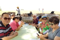 20170921_seniorpicnic-20