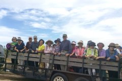 20170921_seniorpicnic-34