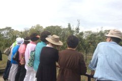 20170921_seniorpicnic-43