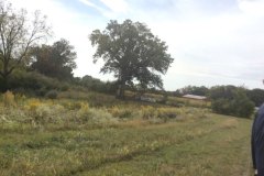 20170921_seniorpicnic-44