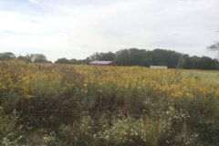 20170921_seniorpicnic-45