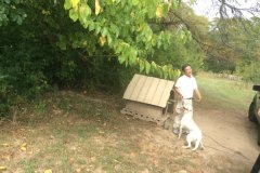 20170921_seniorpicnic-47