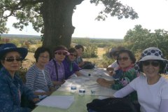 20170921_seniorpicnic-8